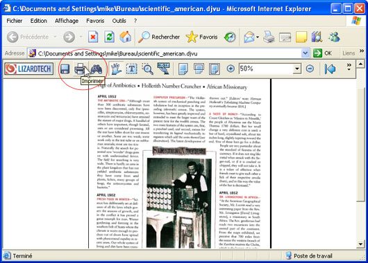 Ouvrez le fichier DjVu à l'aide d'Internet Explorer puis appuyez sur le bouton Imprimer de la barre d'outils du module complémentaire DjVu pour navigateur.